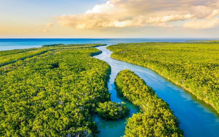 florida-campaign-page-icf-environment-support-content-thumb-720px