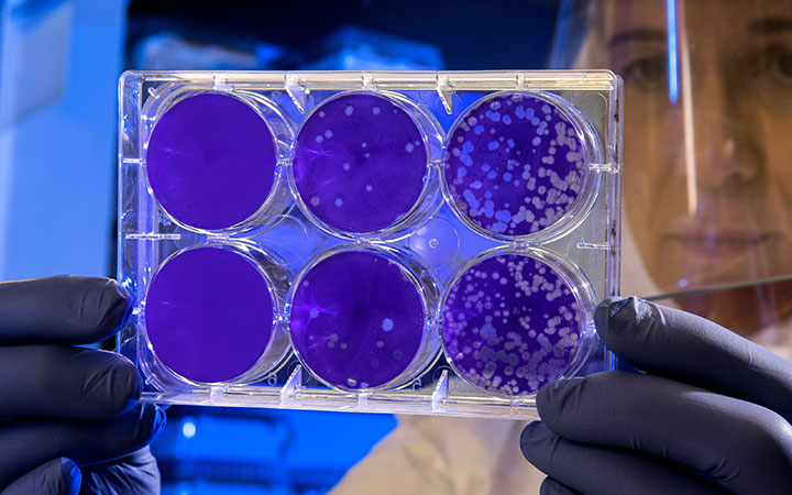 scientist tests for flu virus in lab