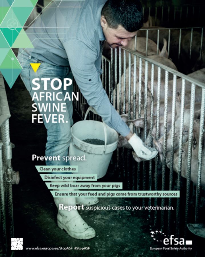 efsa-asf-client-story-icfnext-2025_content-image2-720x900px