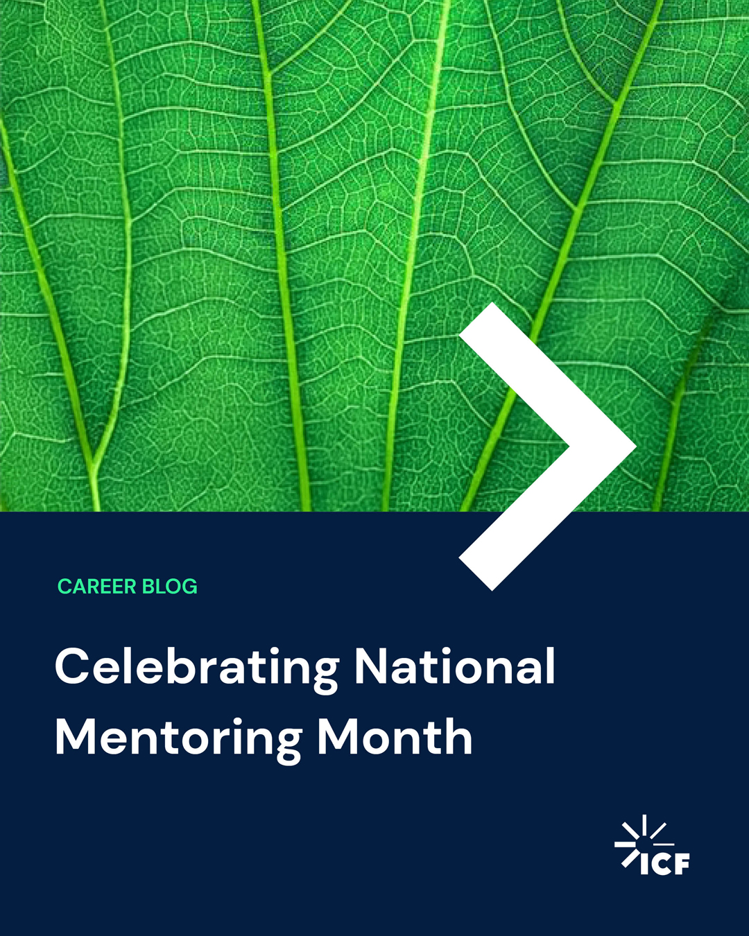 Text overlay Career blog. Celebrating National Mentoring Month