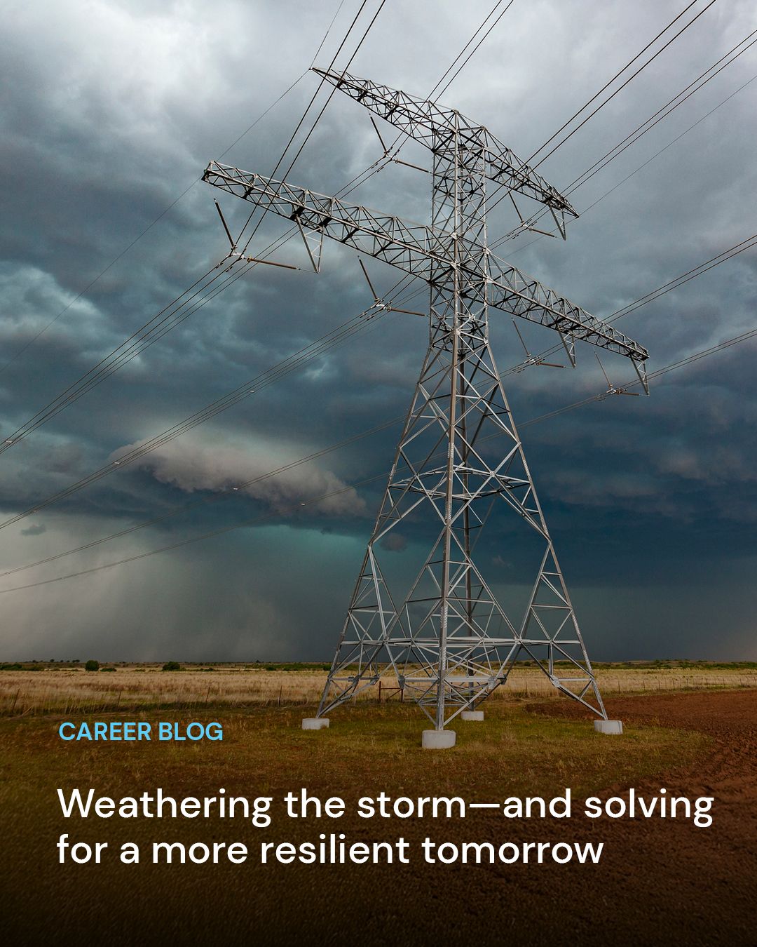 Career blog. Weathering the storm—and solving for a more resilient tomorrow