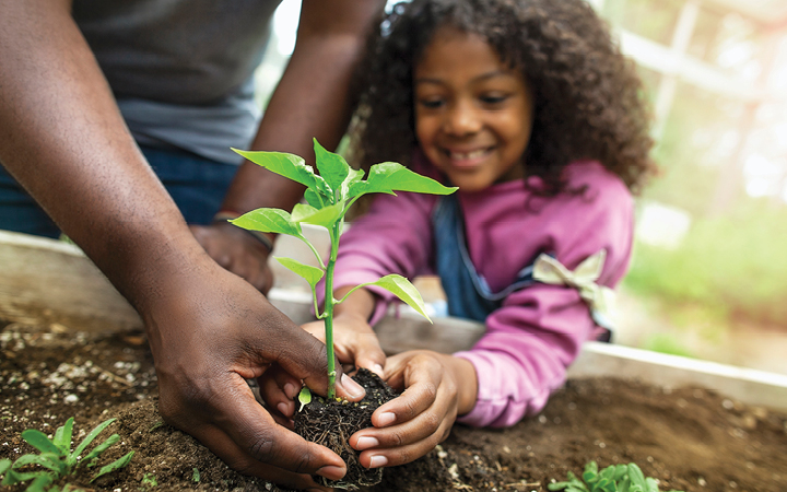 Little girl holding plant