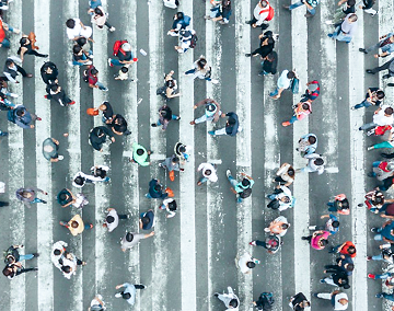 Strategic assessment and planning