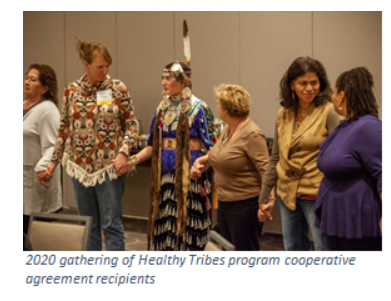 Healthy tribe program attendees 