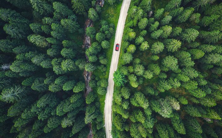 Car driving on forest road