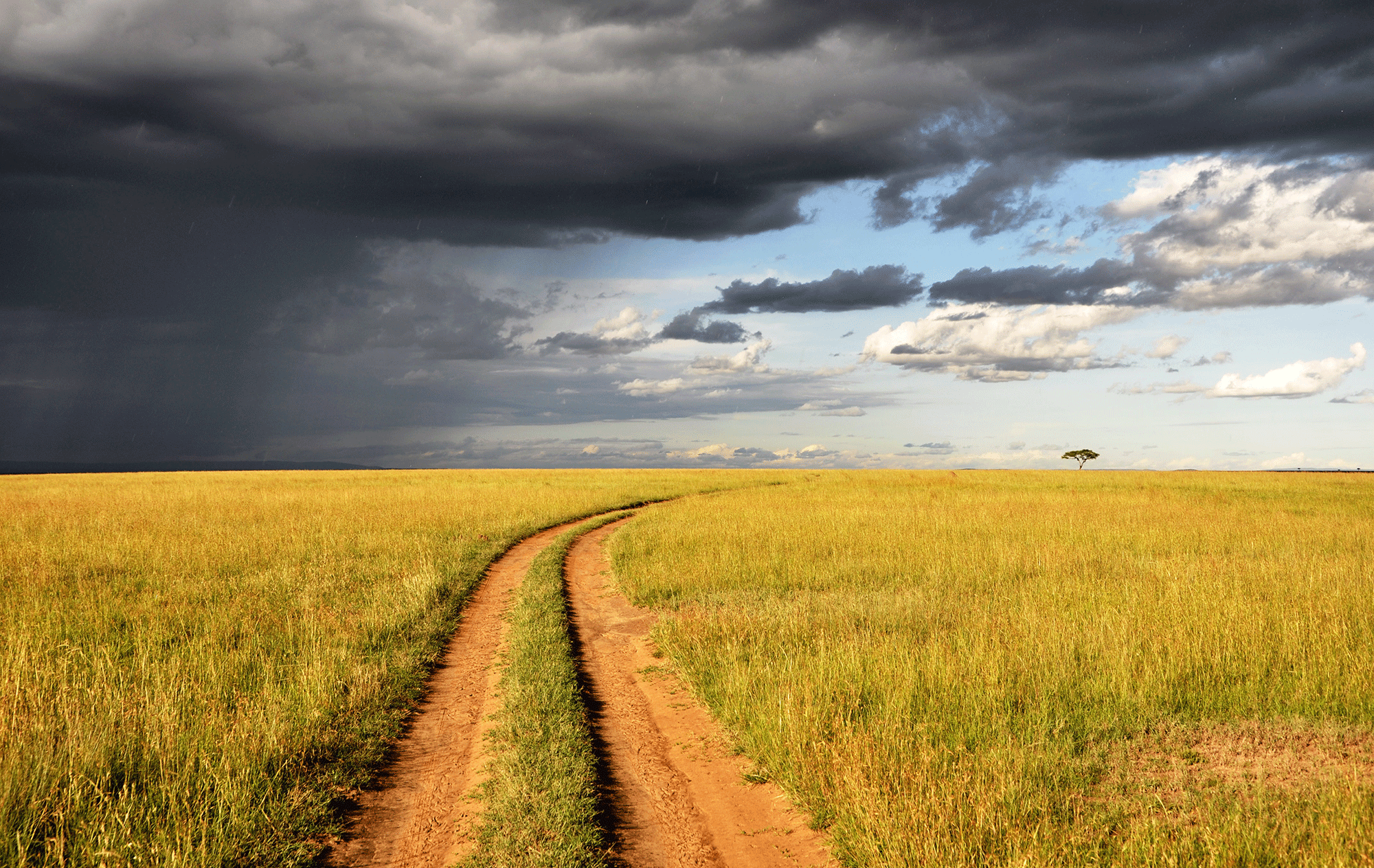 storm on field in Kenya