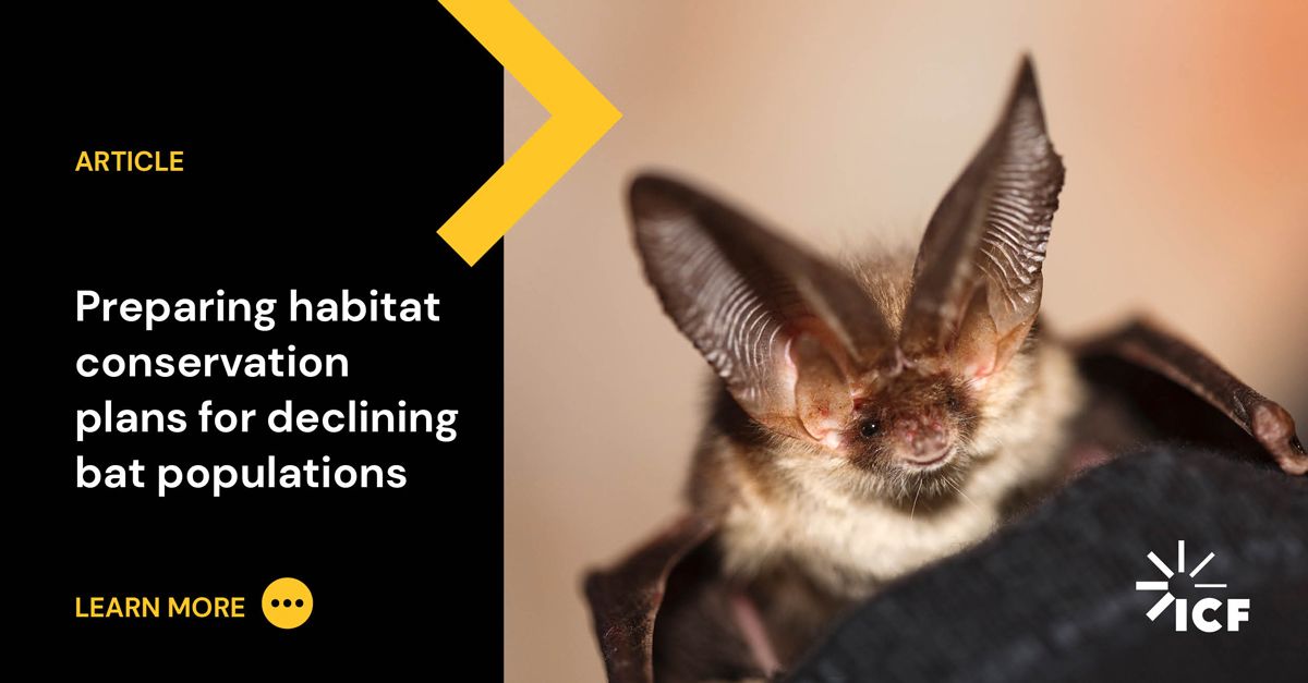 Prepare Habitat Conservation Plans for Bat Species Decline ICF