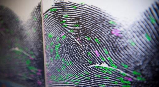 Cyber fingerprint