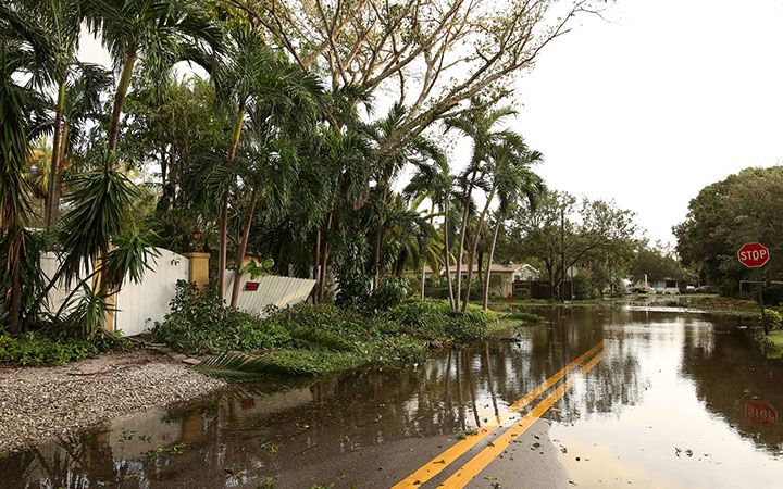 rebuild florida process