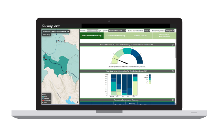 computer displaying charts