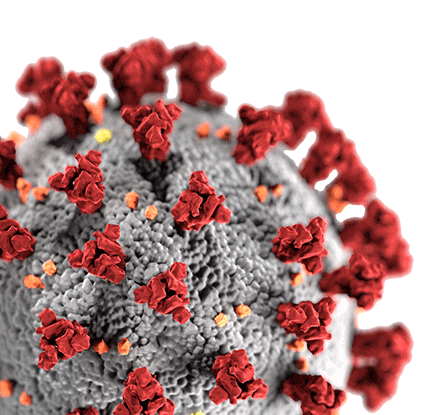 covid 19 virus