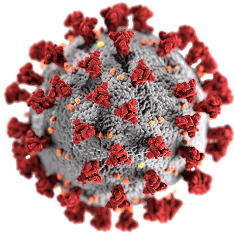 covid 19 virus transparent