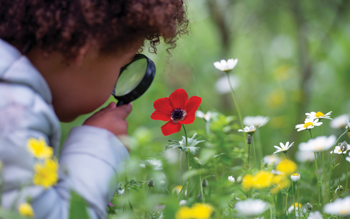 child looking at flower